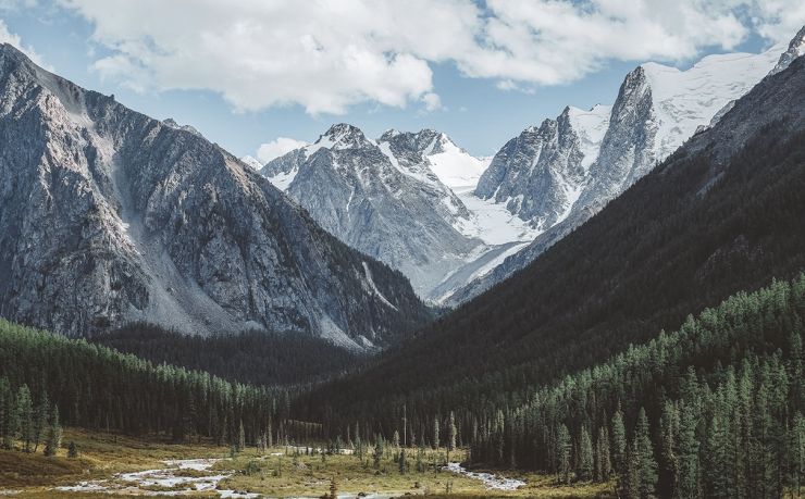 移民荷兰推荐中介公司